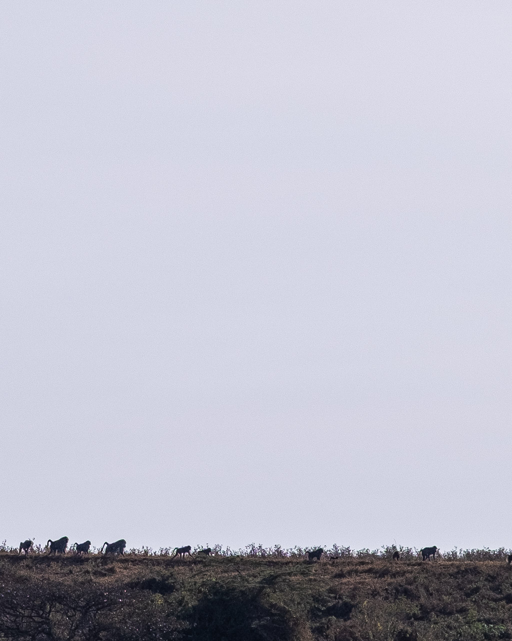 Tanzania, Hhando Coffee Lodge, safari I Tanzania med Kenzan Travel.
