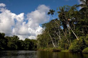 Peru resa, besök Amazonas