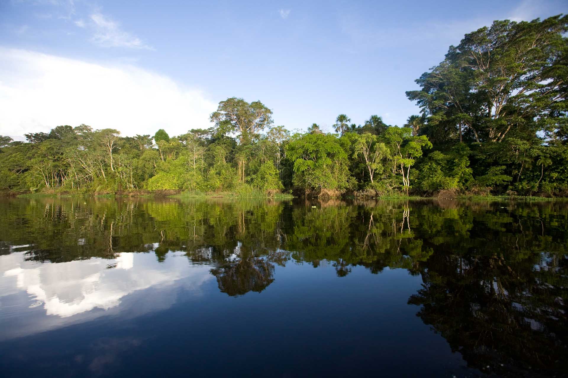 Peru resa, besök Amazonas