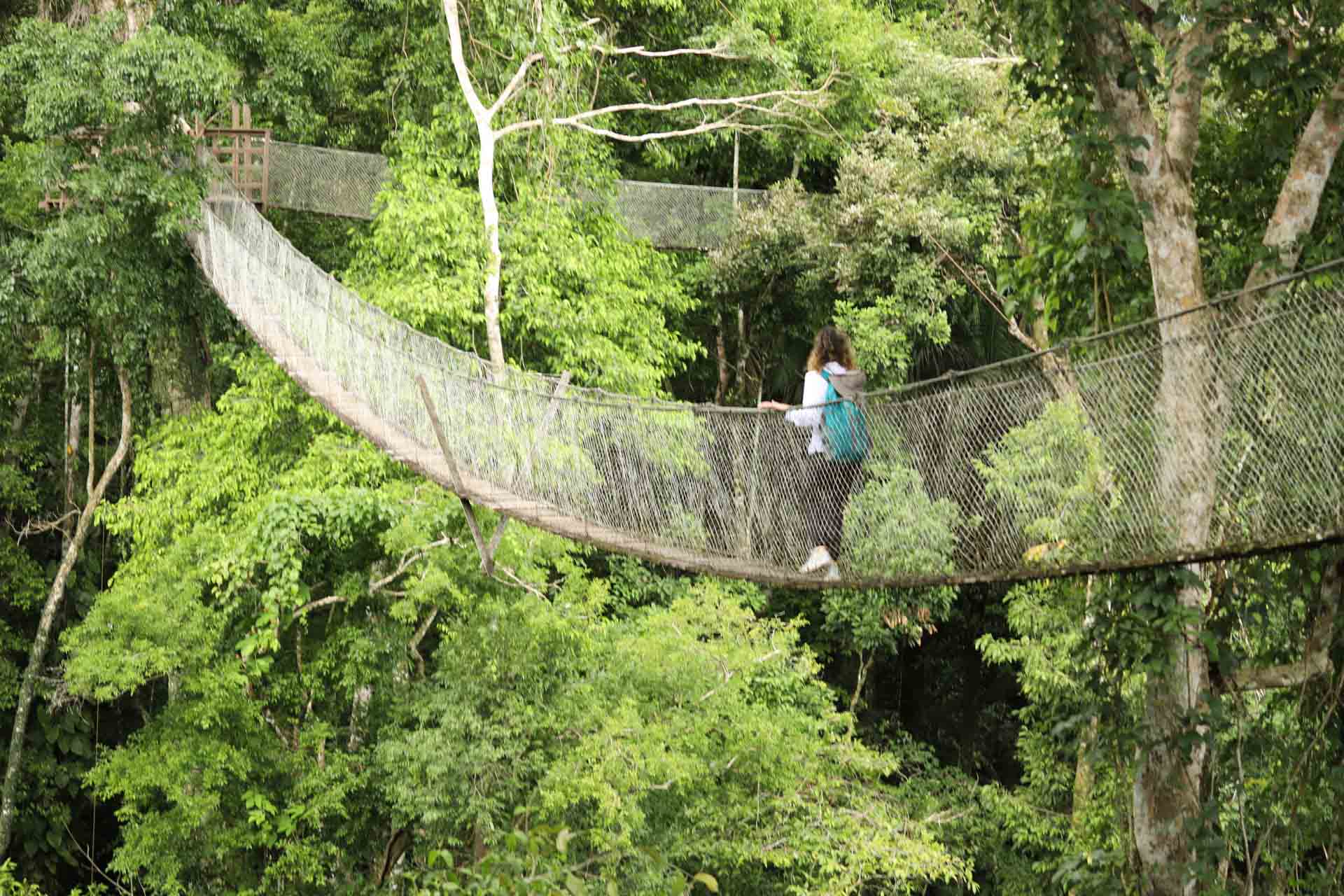Peru, Amazonas, foto Conny Johansson @connyreser