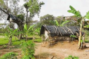 Sri Lanka, Eco tour, Hiriwadunna, hydda
