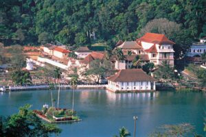 Familjeresa till Sri Lanka, Tandtemplet Kandy