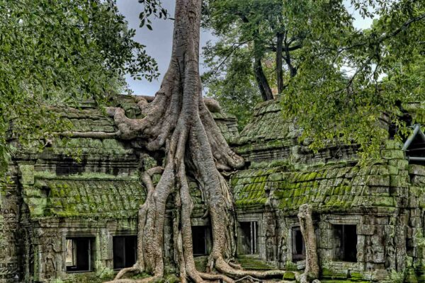 Kambodja Siem Reap Angkor Vat
