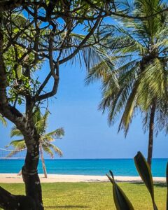 Kenya, Diani, gruppresa 2025