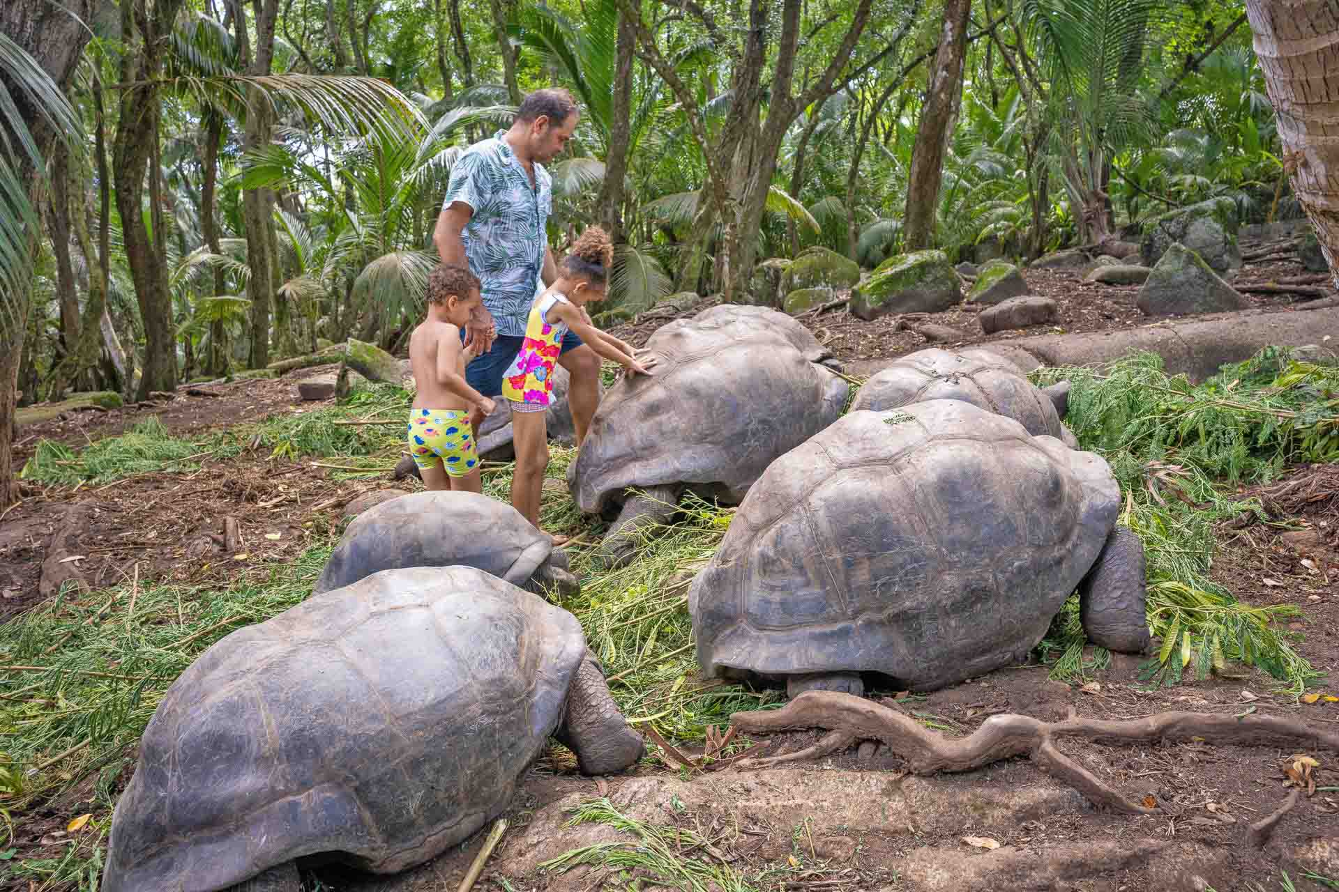 Seychellerna med barn-8 | Kenzan Travel