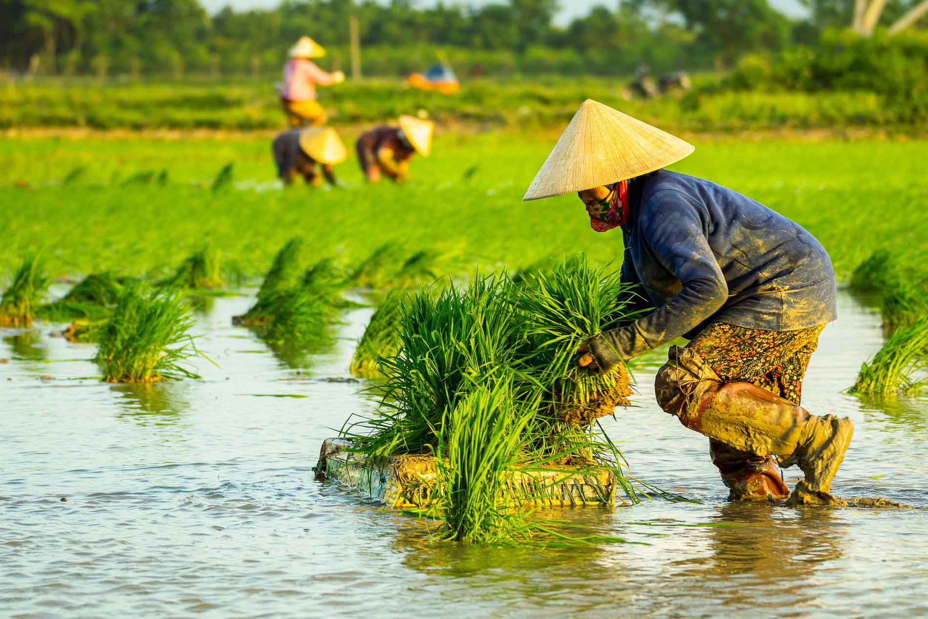 Vietnam resa, blandat för galleri-3 | Kenzan Travel