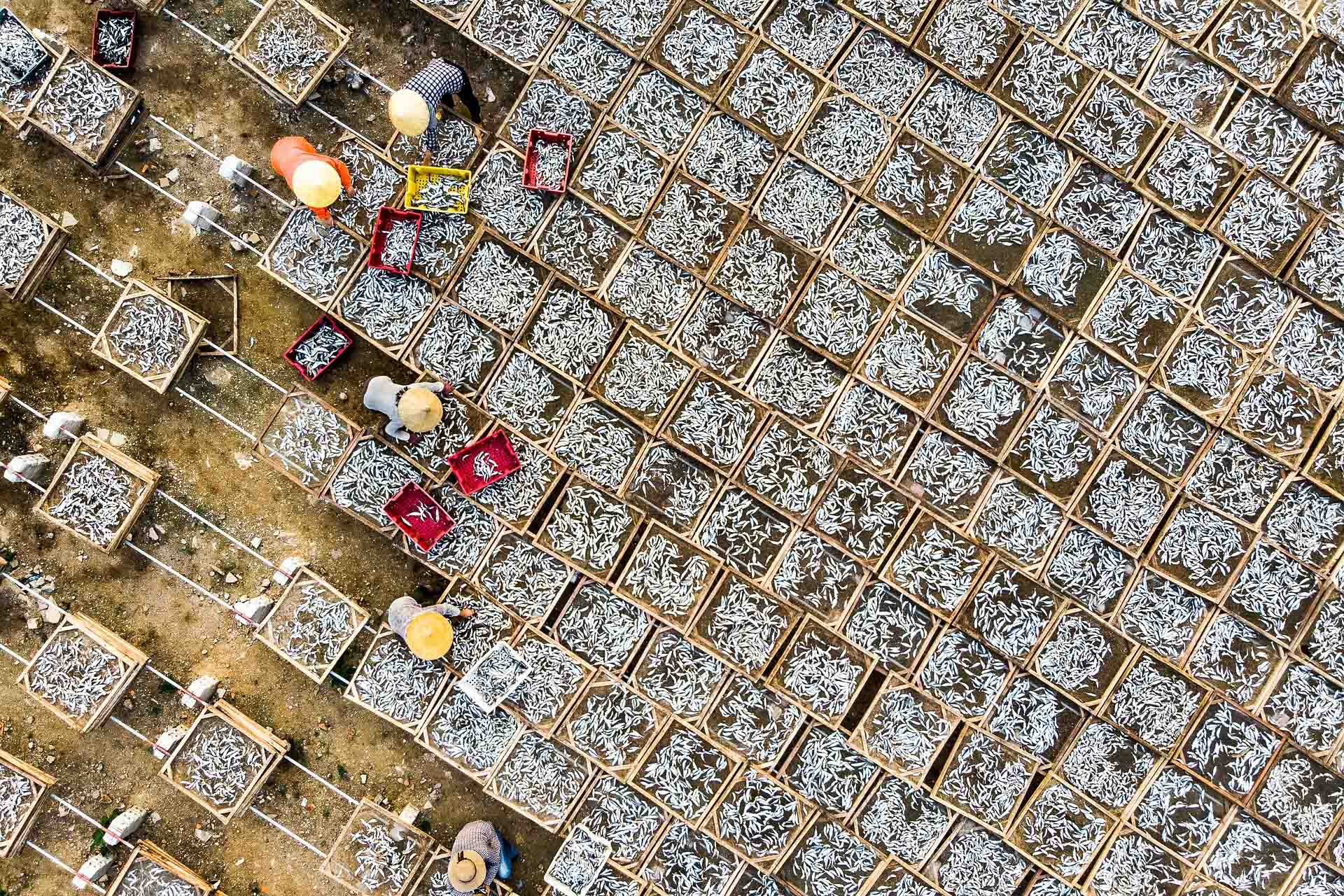 Vietnam resa, blandat för galleri-5 | Kenzan Travel