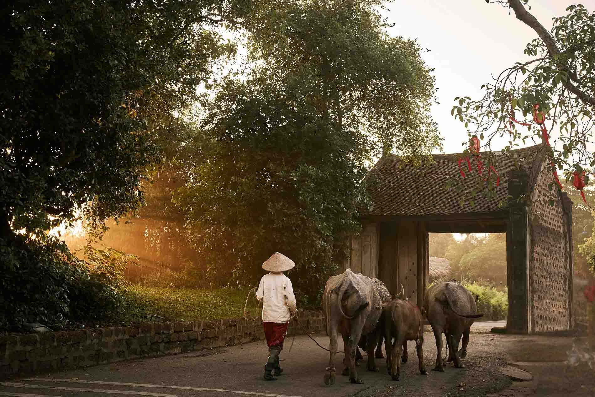 Vietnam resa, blandat för galleri-6 | Kenzan Travel