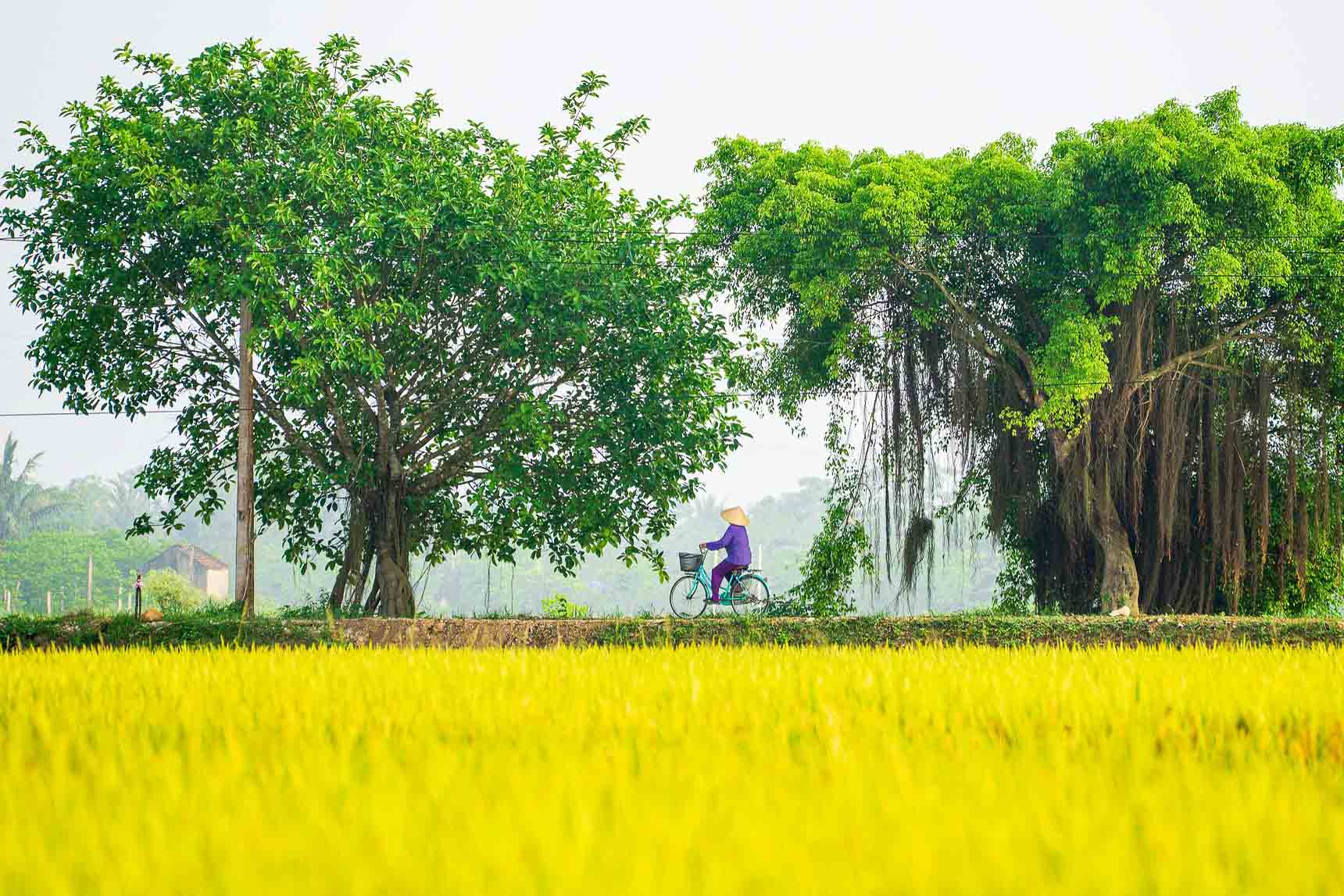 Vietnam resa, blandat för galleri-8 | Kenzan Travel