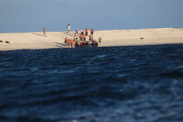 Ecuador, Galapagos, djurliv Foto:Conny Johansson