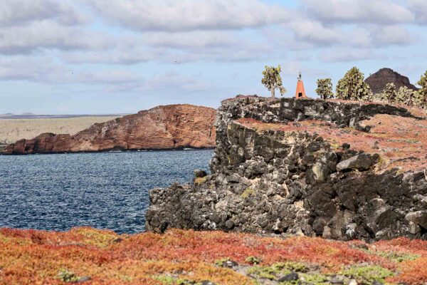Ecuador, Galapagos, djurliv Foto:Conny Johansson