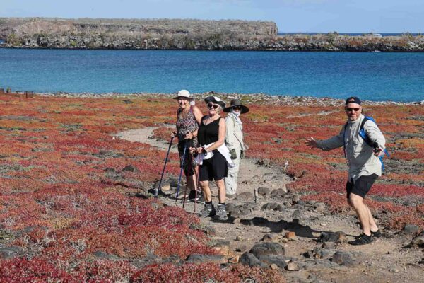 Ecuador, Galapagos, djurliv Foto:Conny Johansson