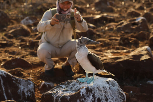 Ecuador, Galapagos, djurliv Foto:Conny Johansson