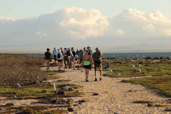 Ecuador, Galapagos, djurliv Foto:Conny Johansson