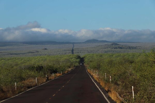 Ecuador, Galapagos, djurliv Foto:Conny Johansson