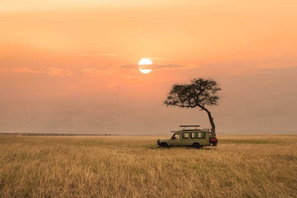 Tanzania safari med ensamt träd och safarifordon på vidsträckt savann – resa till Tanzania