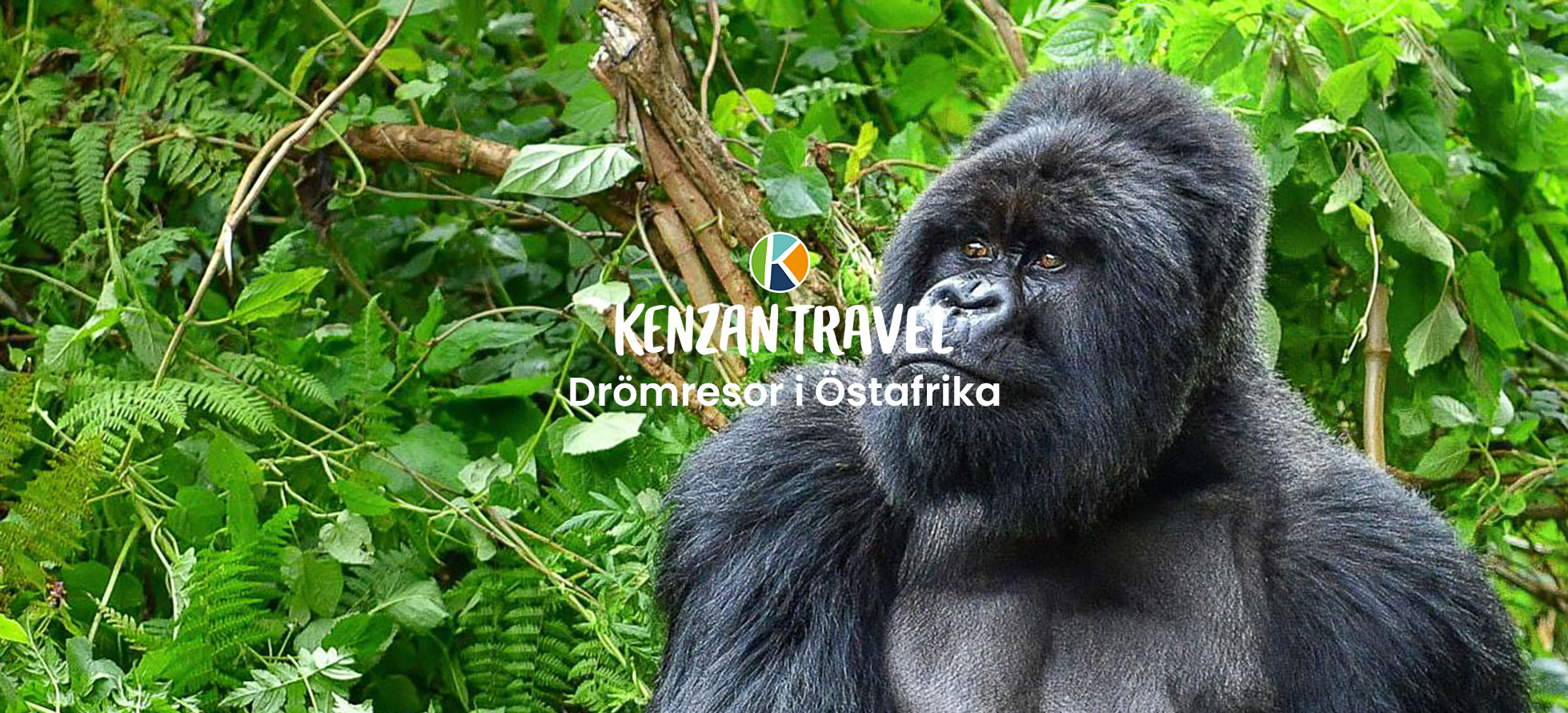 Topp NYHETSBREV dec | Kenzan Travel Topp, nyhetsbrev, dec 2025