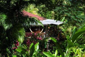 Dominica, Hibiscus Valley Inn