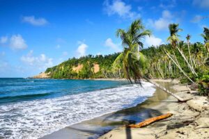 Resa till Dominica resor, Batibou Beach