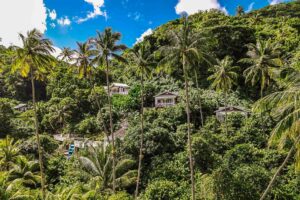 En resa till St Lucia där du bor på Fond Deux Eco Resort