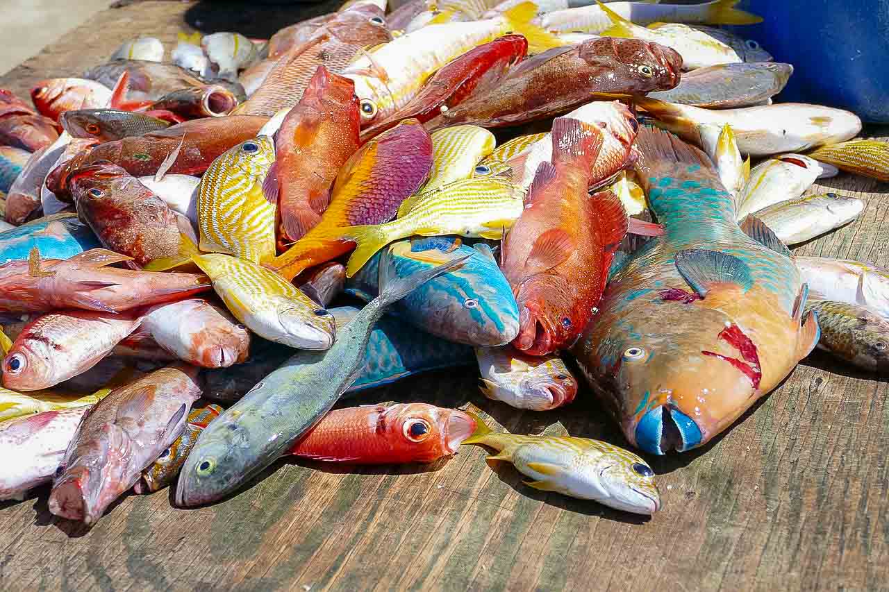 Sevärdheter på St Lucia, vad ska du göra på St Lucia