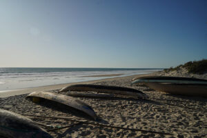 Stora Madagaskarresan Michael-2 | Kenzan Travel Stora Madagaskarresan Michael-2