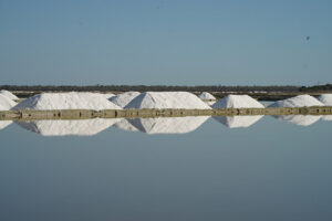 Stora Madagaskarresan Saltängar Michael | Kenzan Travel