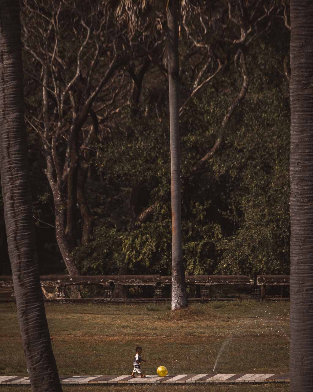 Kambodja, Angkor Wat (foto Cathinka)