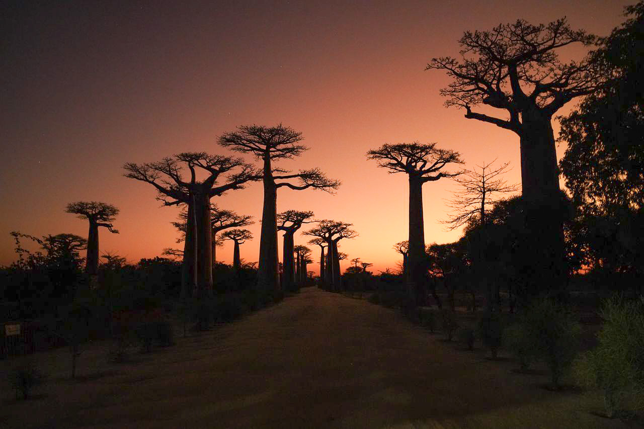 Madagaskar, res på sommaren