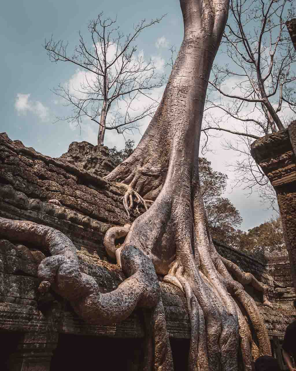 Kambodja, Angkor Wat (foto Cathinka)