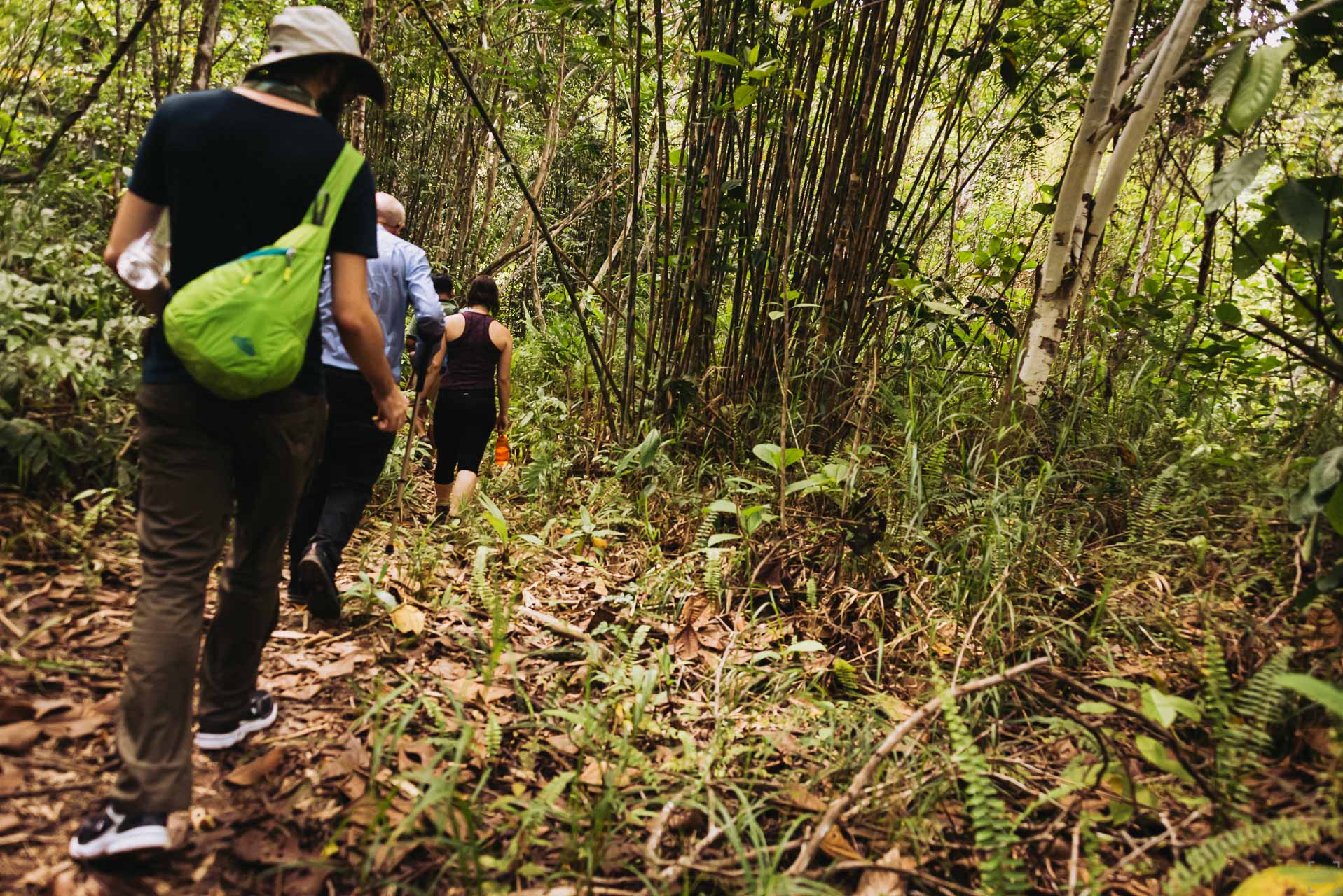 Borneo, Nanga Sumpa, djungelvandring