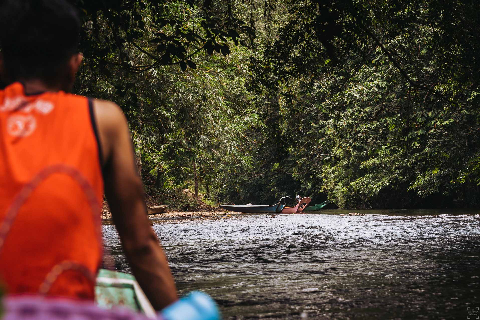 Borneo, Nanga Sumpa, djungelvandring