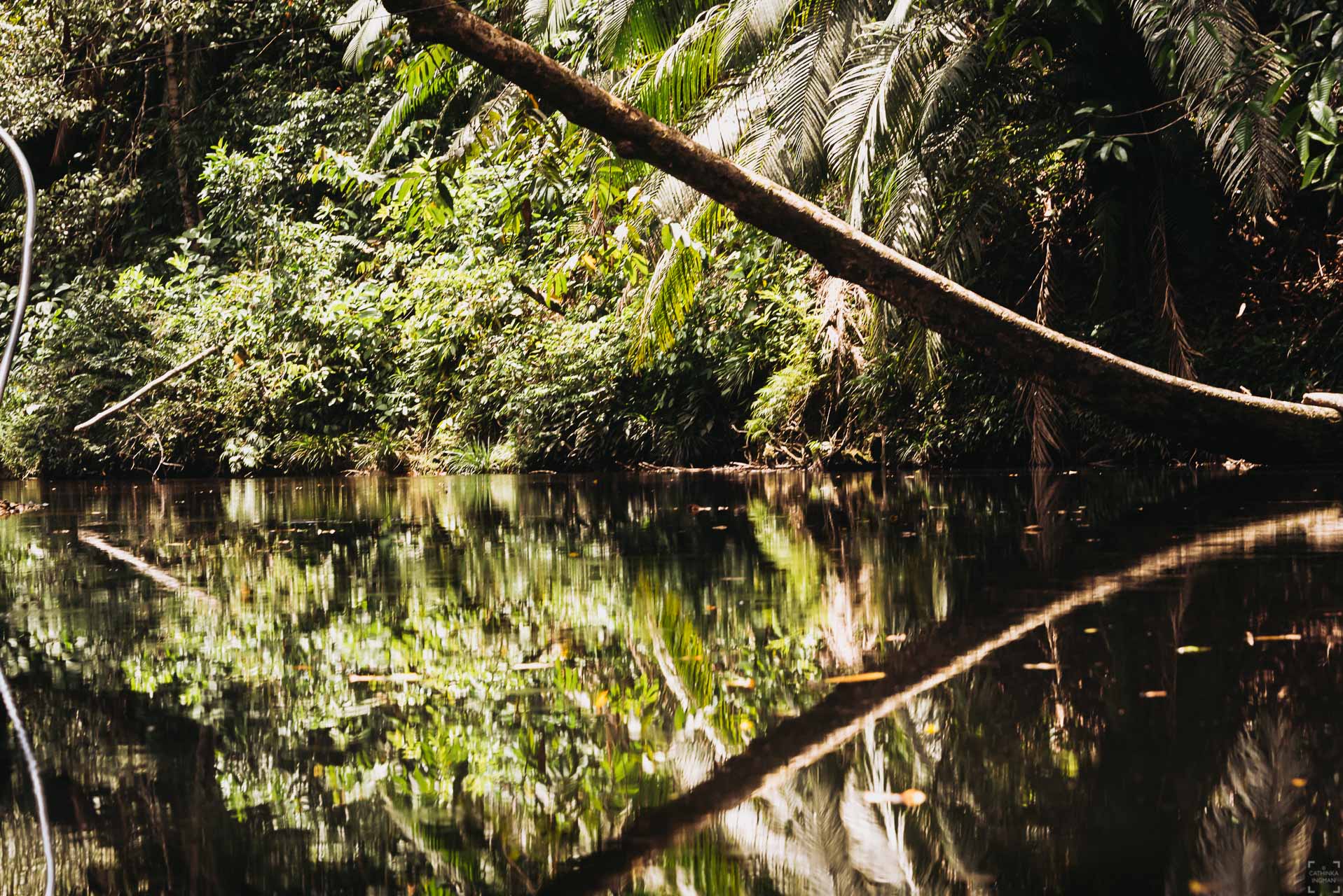 Borneo, Nanga Sumpa