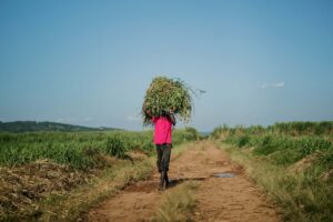 Rwanda, längs vägen