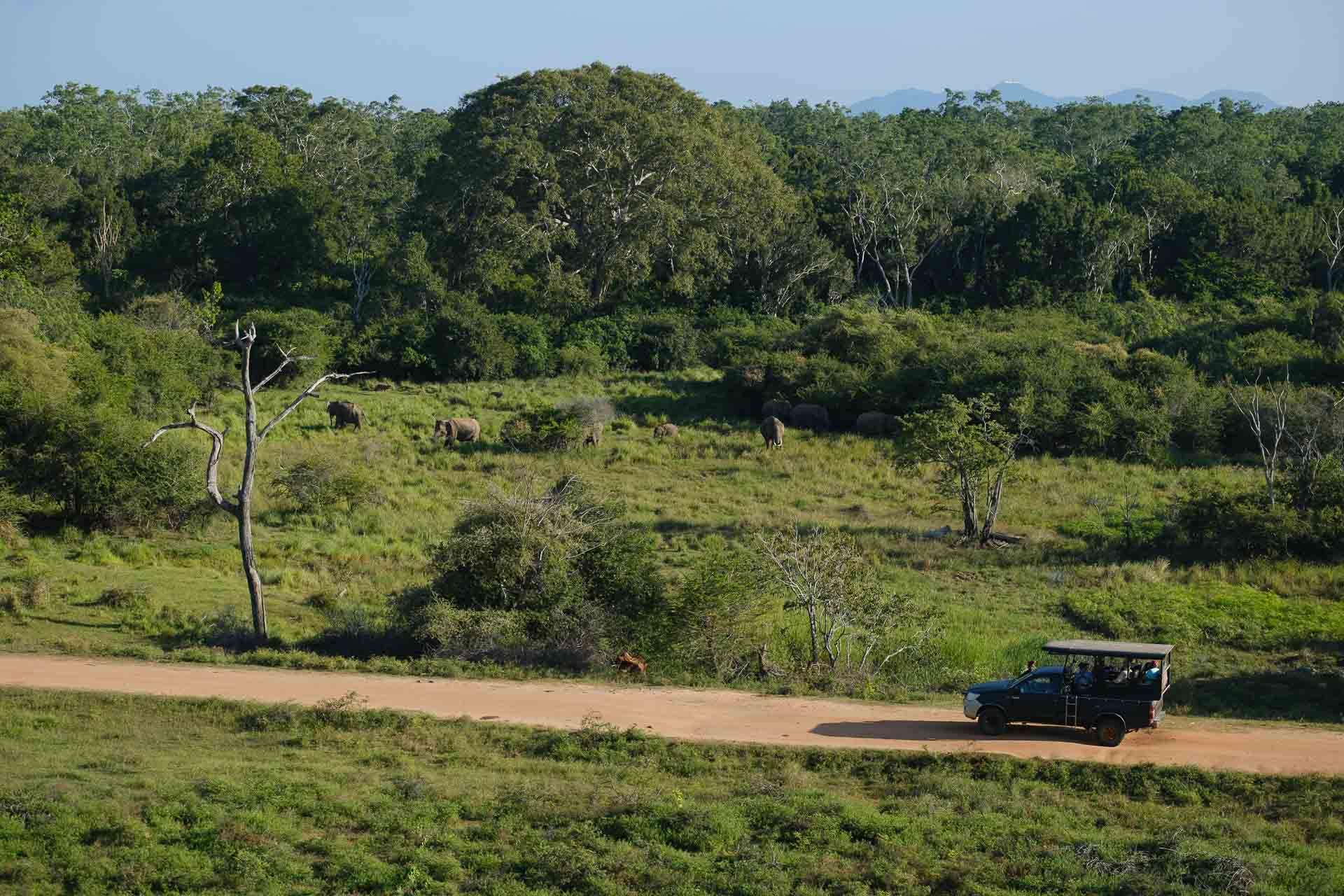 Rundresa Sri Lanka Yala Reseberättelse, rundresa på Sri Lanka