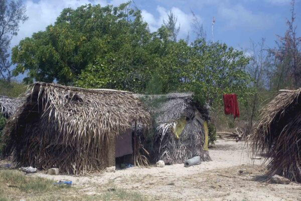 Zanzibar utflykter Tumbatu | Kenzan Travel Våra utflykter på Zanzibar, Tumbatu
