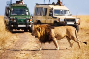 Kenya, Masai Mara Resa till Mauritius i kombination med safari
