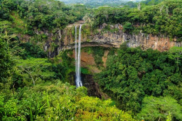 Mauritius, Black River Gorge