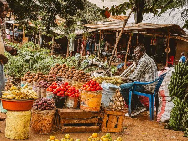 Tanzania safari Ellas familj-5 | Kenzan Travel Market fruit stand with baskets of bananas, coconuts, and apples; a man sits on a blue chair beside the stall.