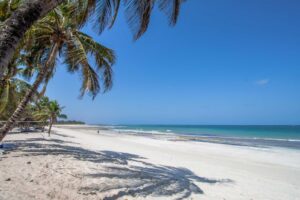 Kenya safari Diani beach-4 | Kenzan Travel Julspecial, Kenya safari med stranddagar Diani beach