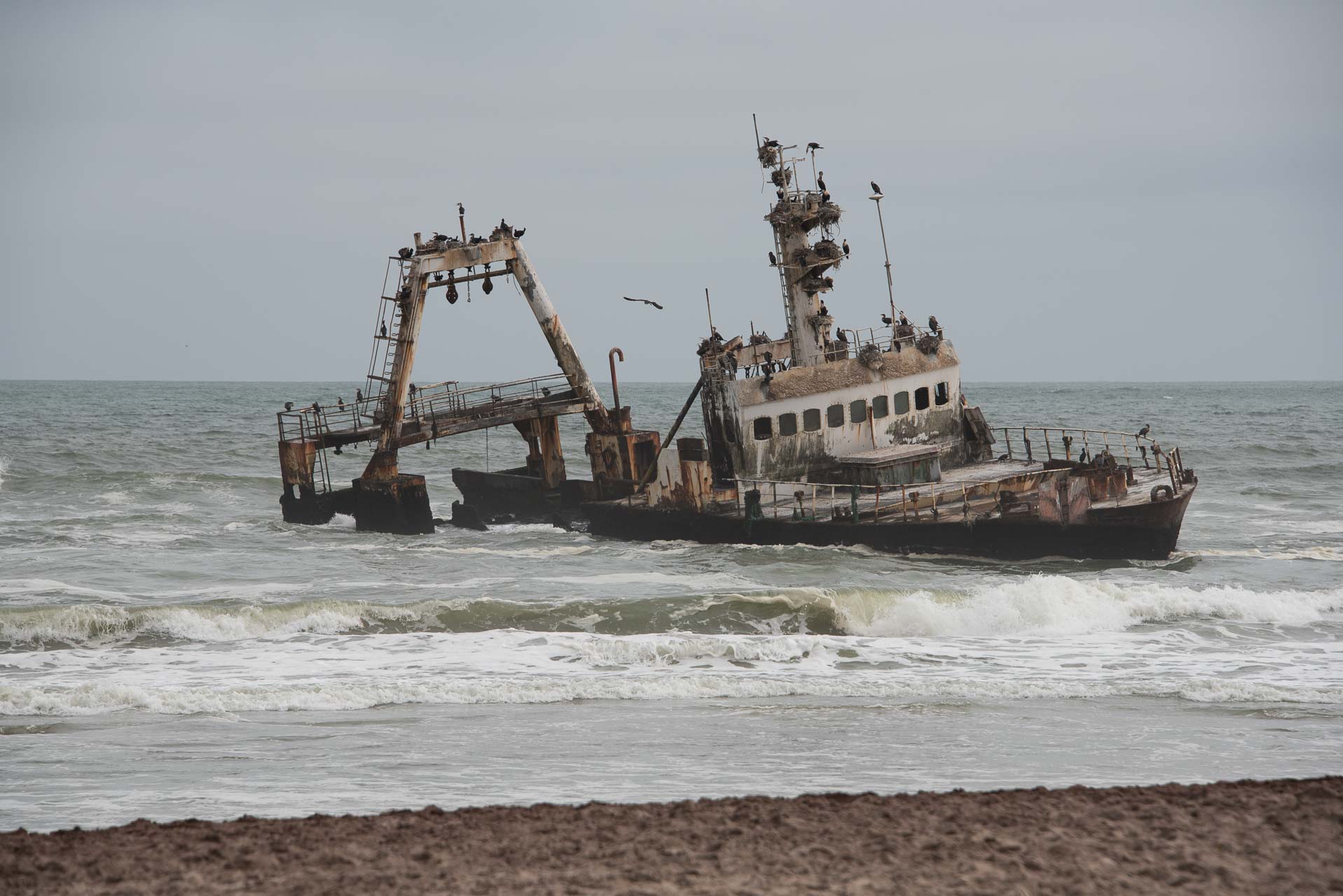 Namibia Skeleton Coast-2 | Kenzan Travel Rusty, derelict ship wreck stranded near the shore with seabirds perched on its masts and rails against a gray cloudy sky.